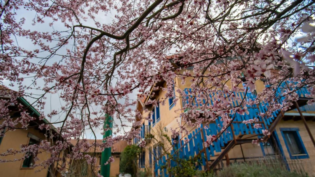 Albergue De Peregrinos Casa Flor Муриас-де-Речивальдо Экстерьер фото